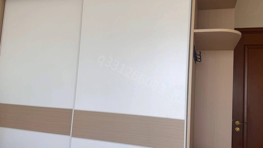 衣柜里的黑丝美女-2