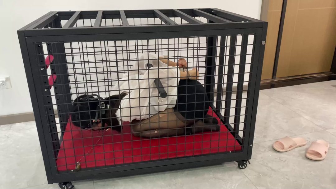 K9狗笼调教 开口器+流口水+镣铐+铁链固定+黑丝+丁字裤+SP-2