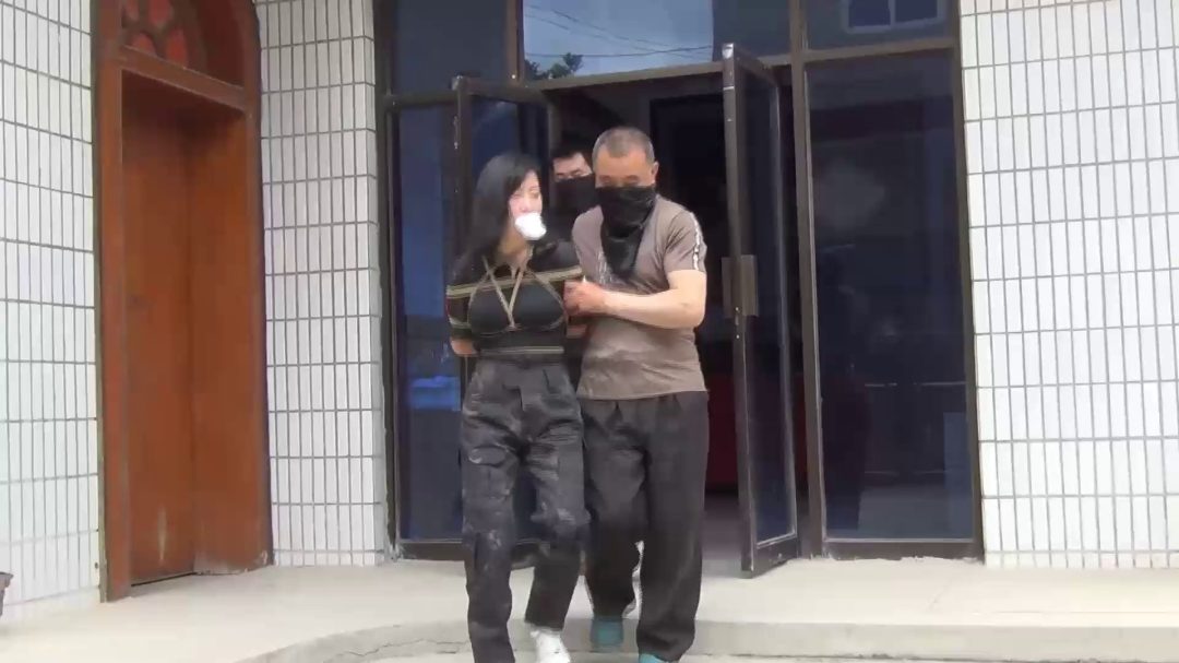 出击（上下完整版）柳如雪和她的队长-3