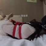 捆绑 堵嘴 恋足 sp（1-2合并版）对小芳妹子进行捆绑堵嘴放置