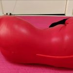 新闺蜜试镜之双搜查官受虐记（全包紧身衣、长靴长手套、钢枷、同步电击、同步跳跳、同步@#￥#！）