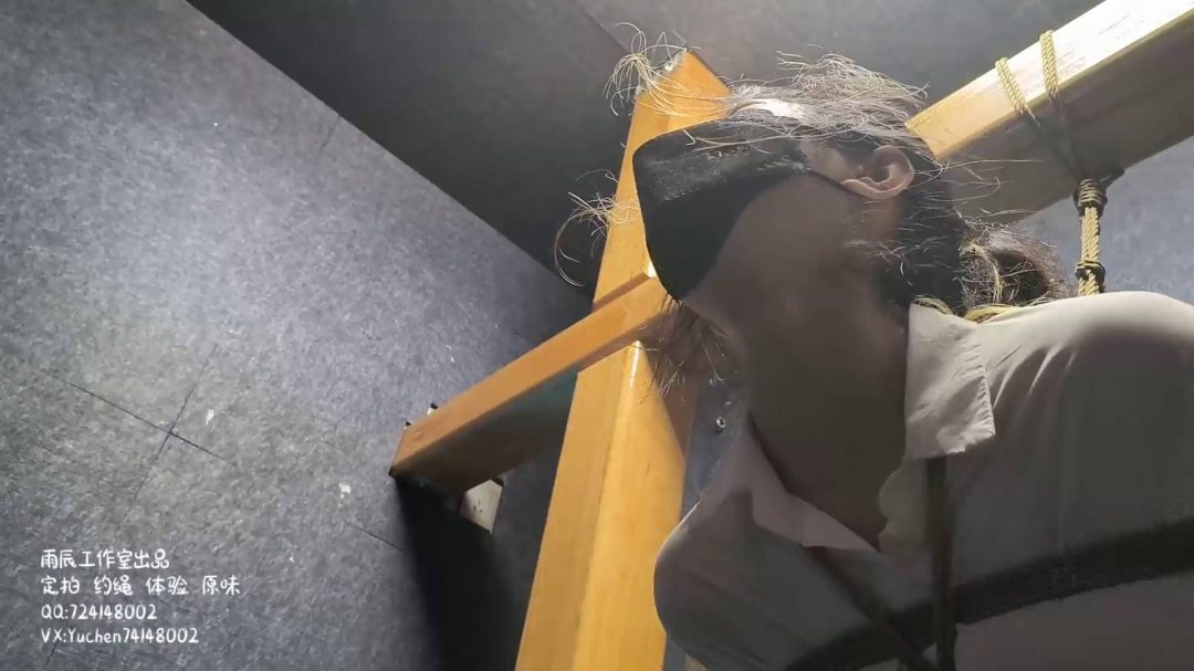 安娜木马受刑记-4