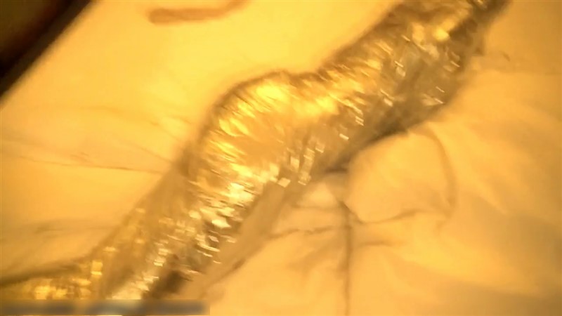 胶带木乃伊 丝袜头套套头-7