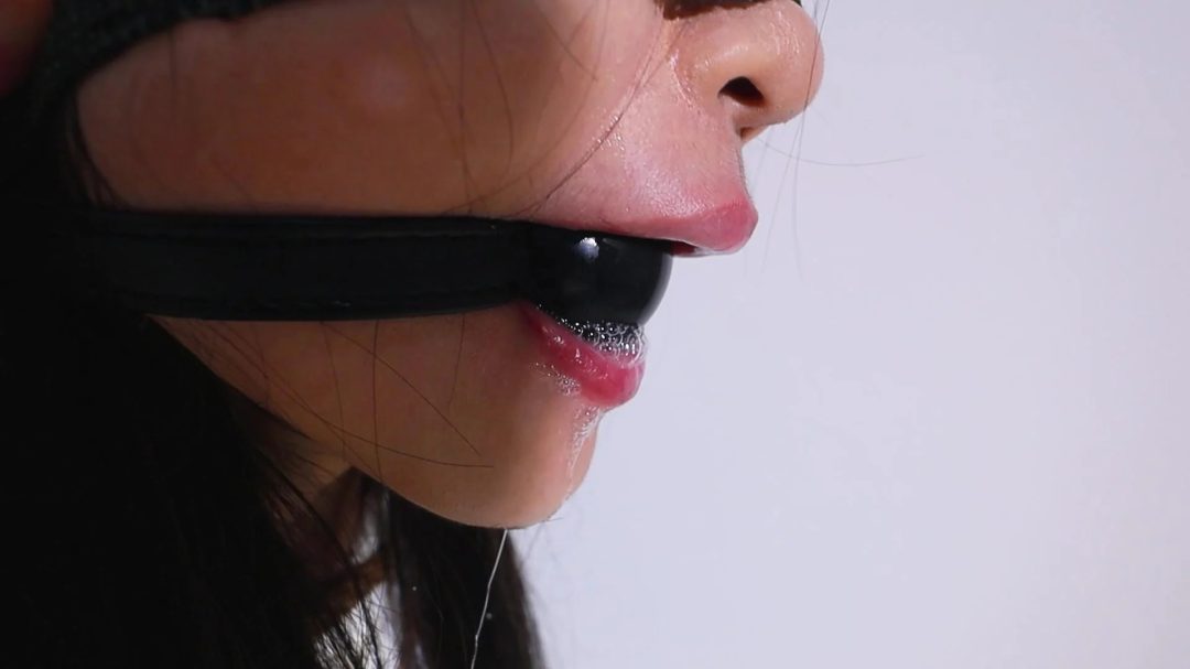 【皆非】《驯化成奴》将货物一步步驯化成听话的奴仆（会放电羞耻口水 鞭子抽打 抚摸蹂躏|股绳拉扯|跪式教育|丝袜堵嘴|绷带封嘴|口球|驷马紧缚）-2