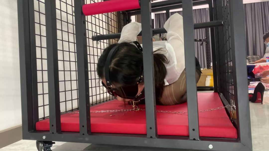 K9狗笼调教 开口器+流口水+镣铐+铁链固定+黑丝+丁字裤+SP-7