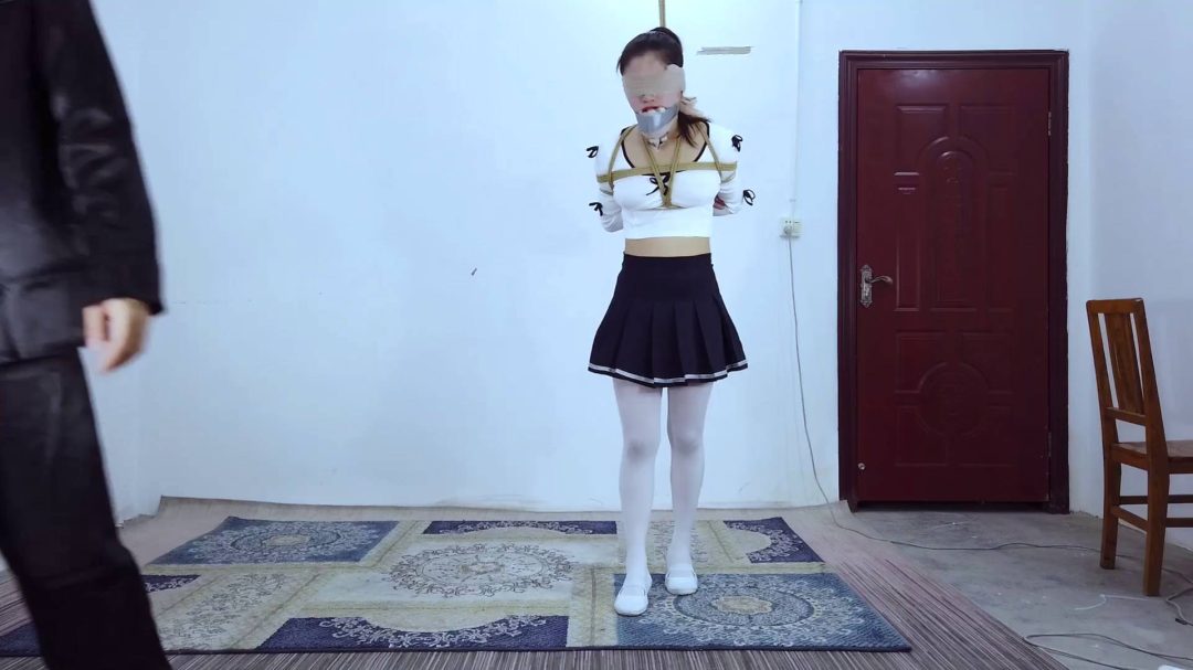 老师的各种玩具-4