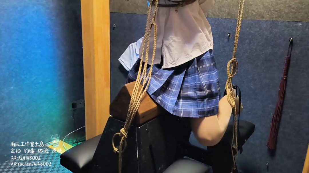 安娜木马受刑记-6