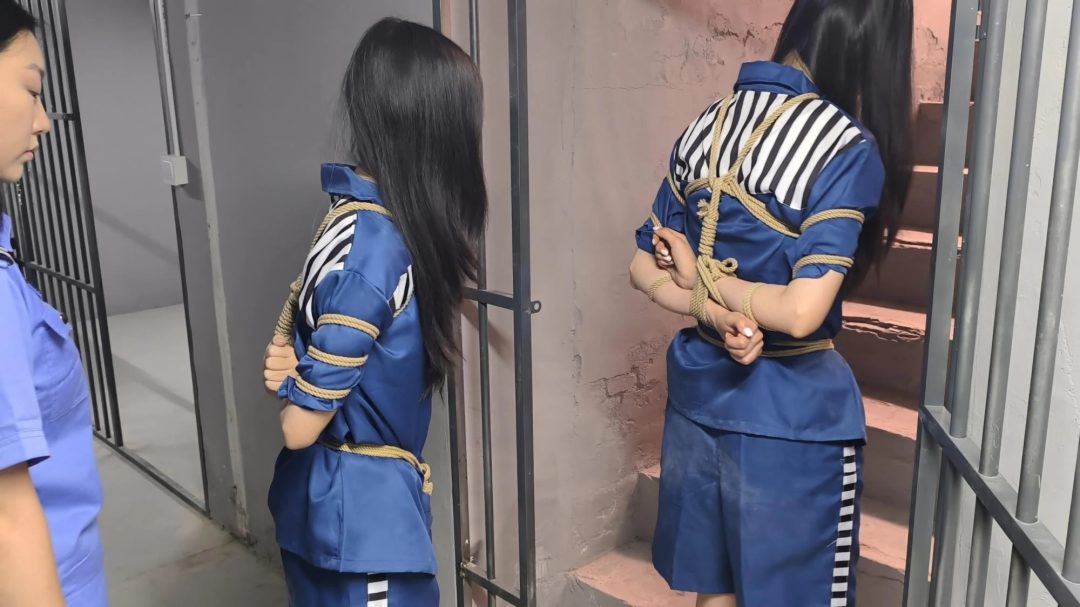 【鑫鑫工作室】林悦是H市井花新人，气质清冷。沈菲是一家广告公司的文案策划，古灵精怪。两人自小一起长大，情同姐妹。虽然她们感情很好，但得知闺蜜沈菲犯法了，还是选择抓捕她。因为在后面的过程中徇私枉法，帮助-7