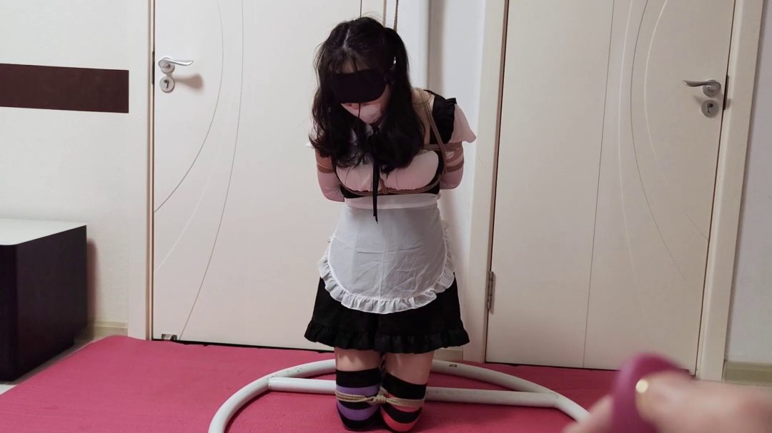 可爱滴女仆与驷马-8