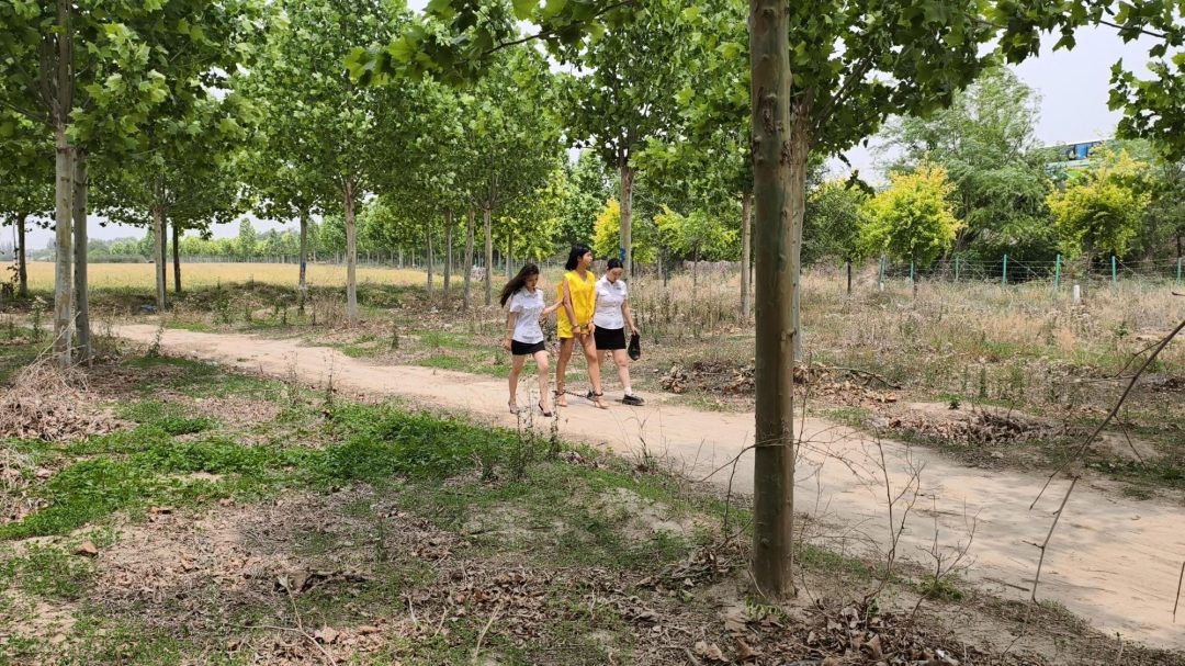 【鑫鑫工作室】女医生因出轨有妇之夫被原配暴揍怀恨在心，隔天原配去医院检查被医生碰见，寻求机会将其，后被逮住，后终于承认了犯罪事实，带各种重镣，最后被户外。-14