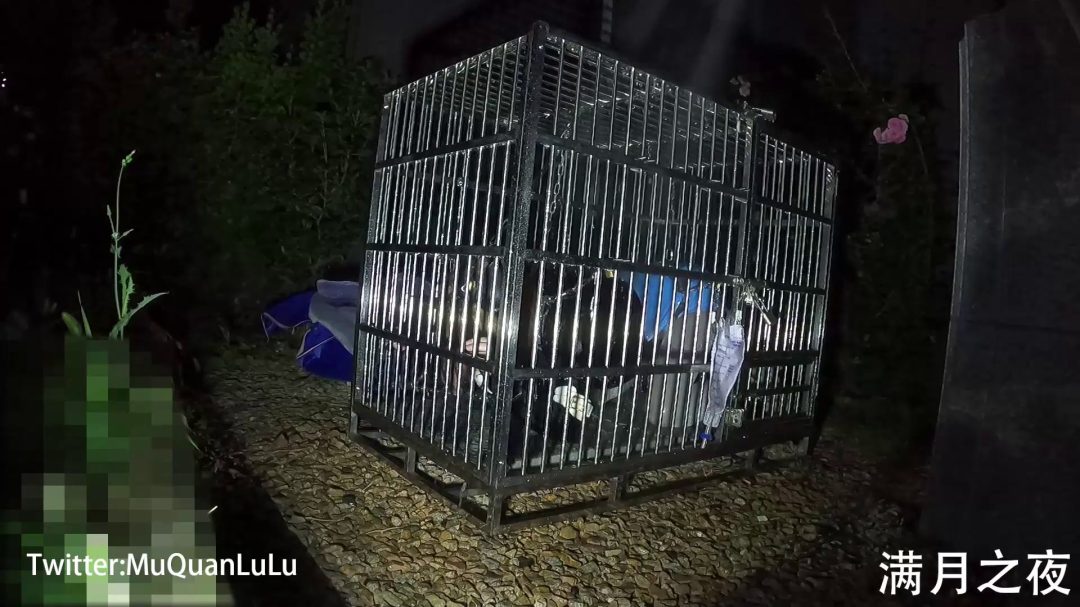 户外狗笼禁锢放置PLAY 锁链+湿身-6