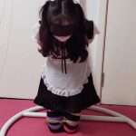 可爱滴女仆与驷马