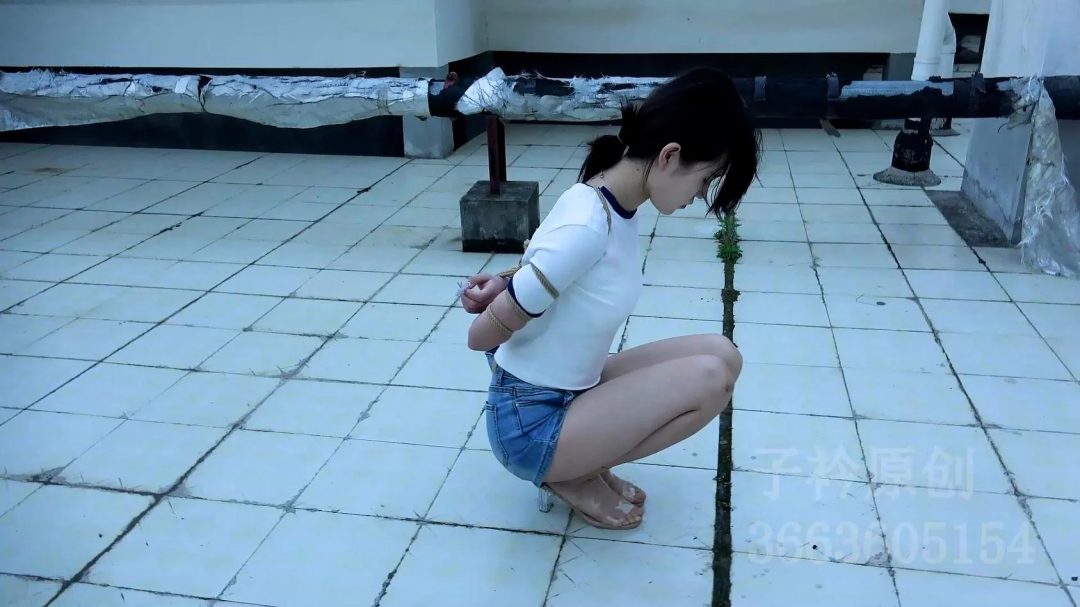 定拍朵朵五花-1