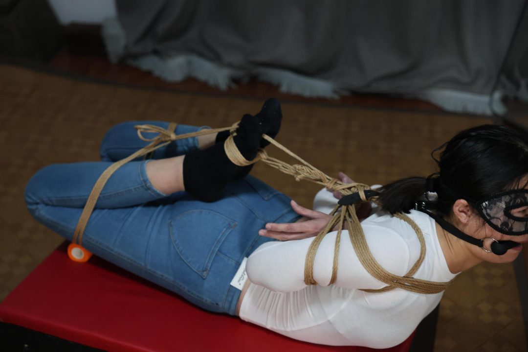 经典造型 驷马勒嘴巴-5