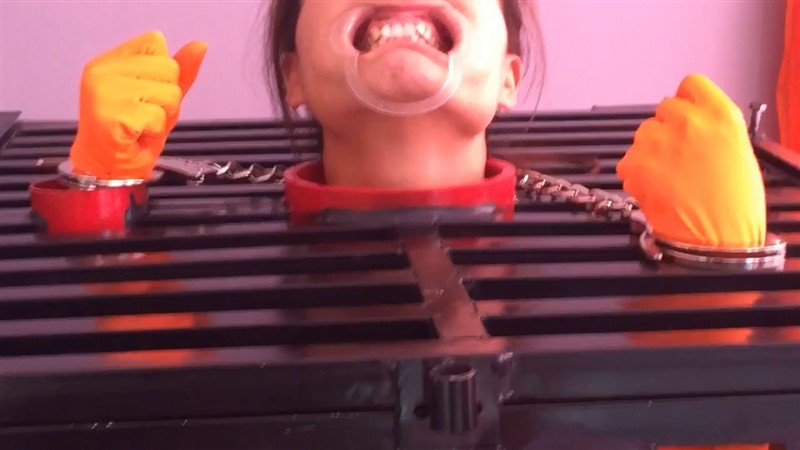 笼枷禁锢 强制口腔窥探 绳模王丽-3