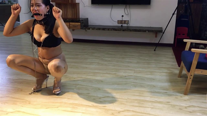 新招的美女犬奴（夜驯篇）-6