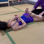 人体内部结构研究（二）