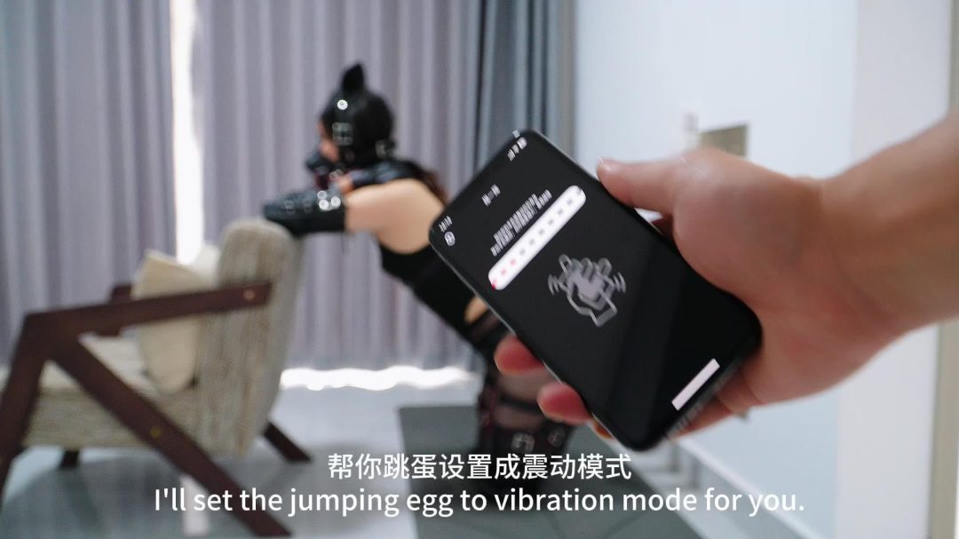 训练小狗狗1：第一次就很高强度的技巧和体能训练（在藤条和TD的帮助下“自愿”训练）-3