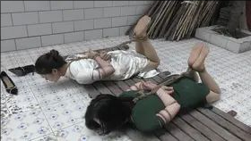 大义无畏4 下-2 大义无畏4 下-2