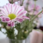 紧缚危机之绑捆实录