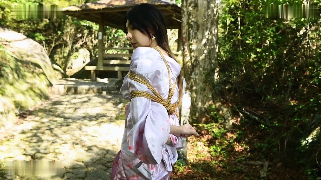 和风缚影 兔子-3