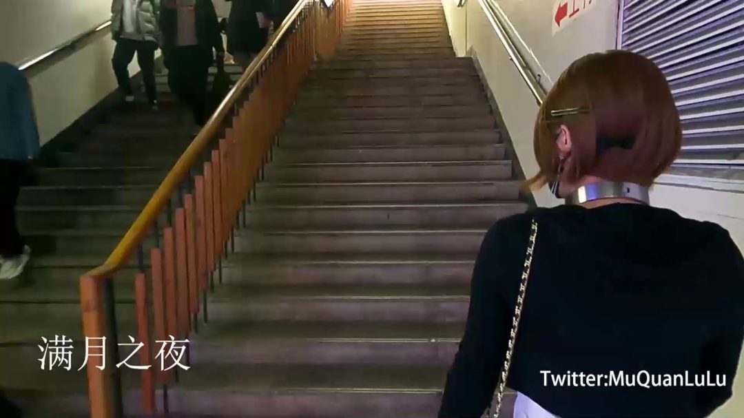 青岛大学校园之行-1