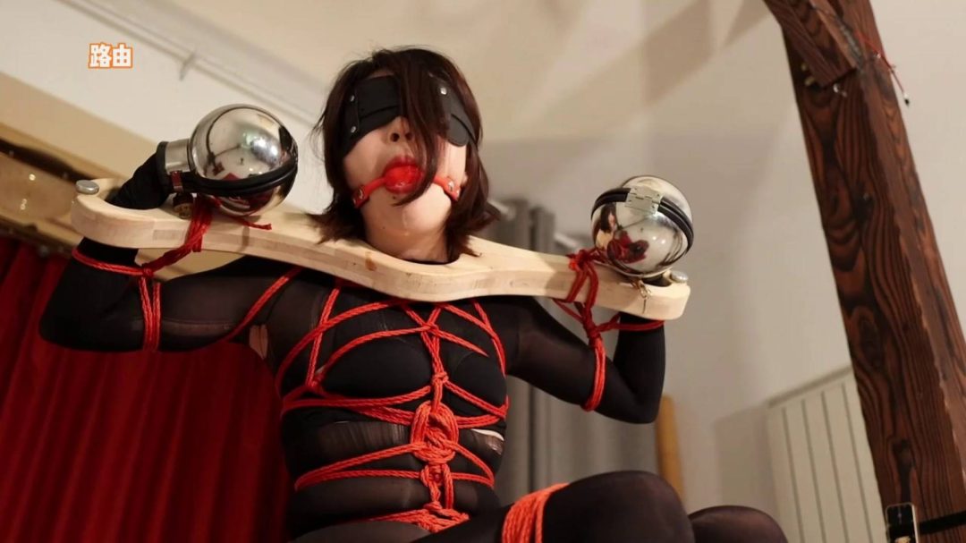 小莫莫被捆在柱子上电击试验-8