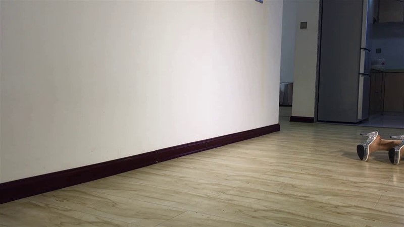 新招的美女犬奴（夜驯篇）-5