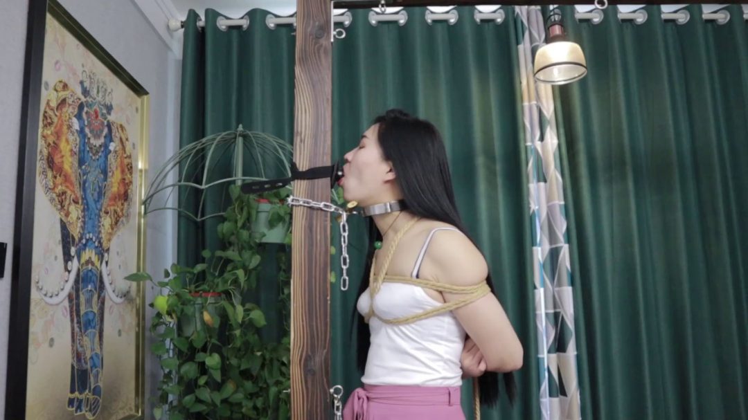 私人女囚之中秋调教日记 钢枷脚镣 三角木马 驷马口水 贞操锁 刑架大字绑 户外囚服脚镣木枷押解-2