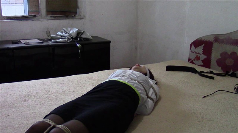 黑丝OL遭遇捆绑-2