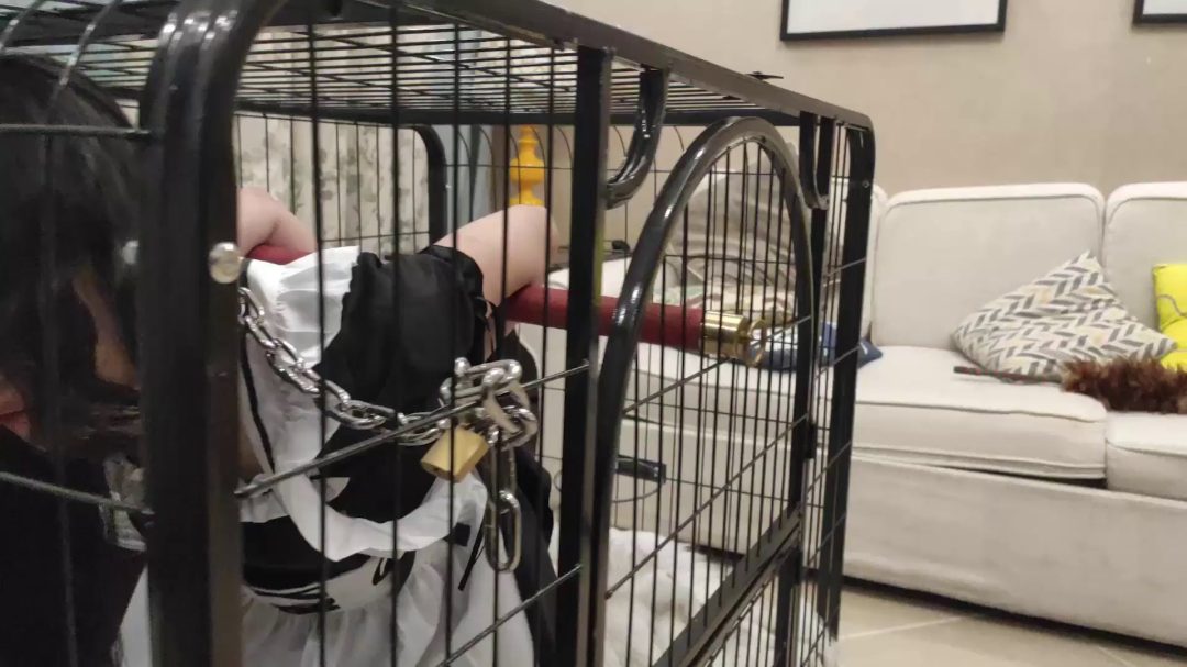 我的私人奴隶女仆（下集） 戴尾巴的小M狗 铁笼固定（超难受）溜狗牵引 金属束缚 强制跪缚 开脚放置强制-2