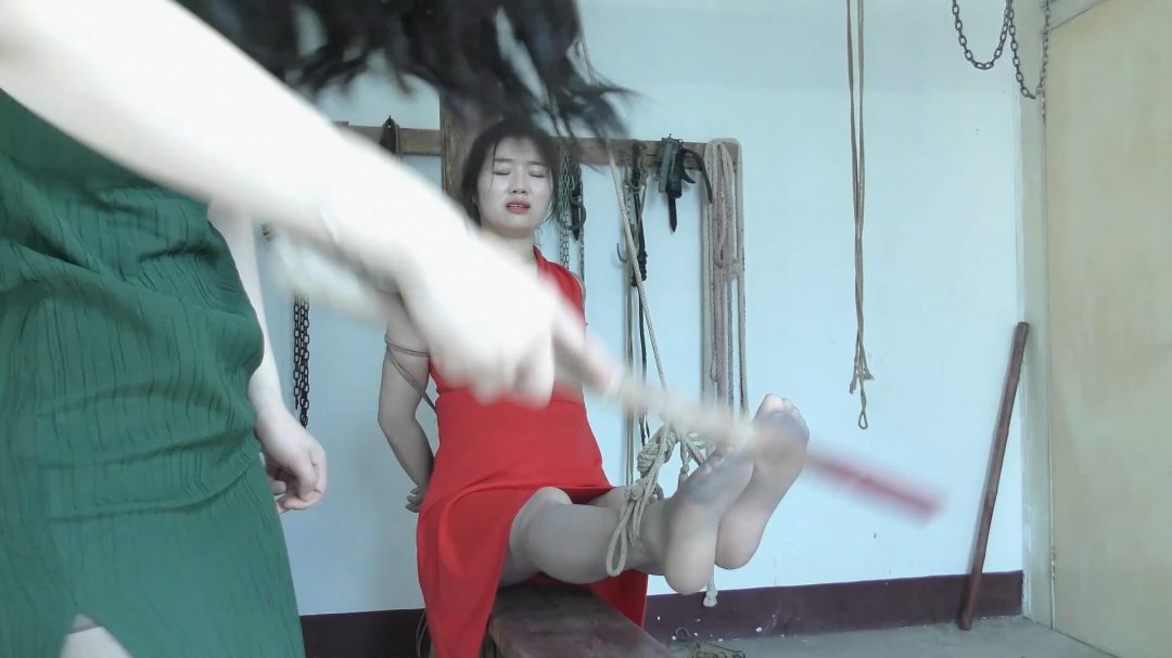 深入虎穴特别版-5