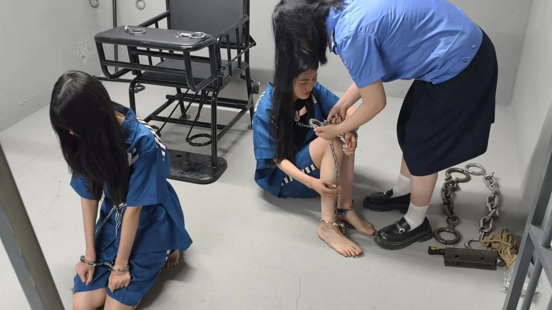 【鑫鑫工作室】林悦是H市井花新人，气质清冷。沈菲是一家广告公司的文案策划，古灵精怪。两人自小一起长大，情同姐妹。虽然她们感情很好，但得知闺蜜沈菲犯法了，还是选择抓捕她。因为在后面的过程中徇私枉法，帮助-6