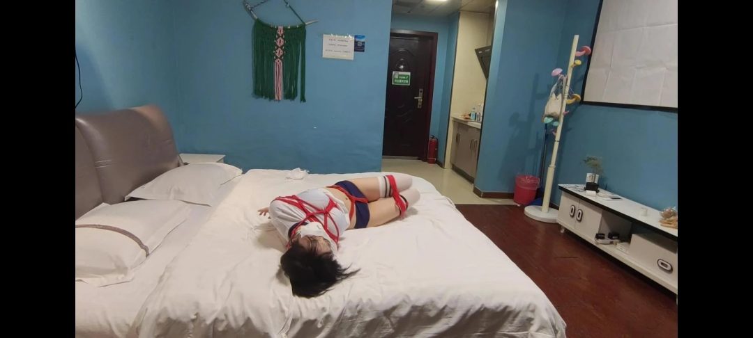 入室捆绑嗷嗷-2