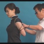 旅行者系列之月华