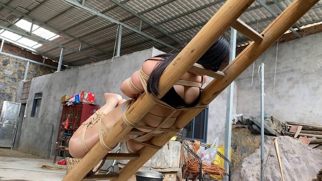 老家院子惊魂-7