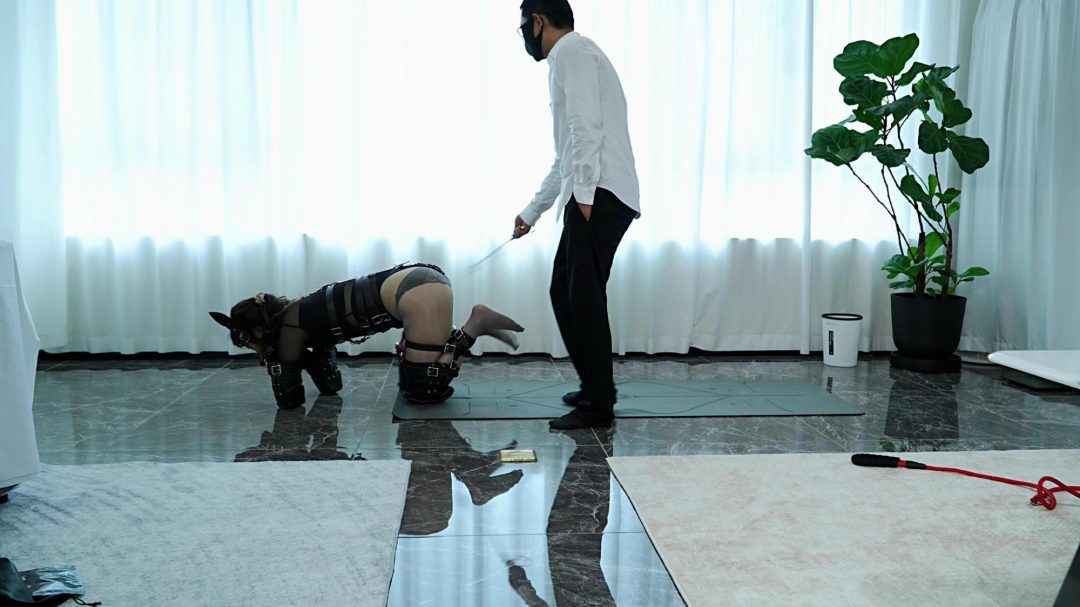 【Raymond】（微剧情）宠物托管员的奇遇（第一集）（人形犬/遛狗/TK/犬立/SP/打脚心/排尿/）-6