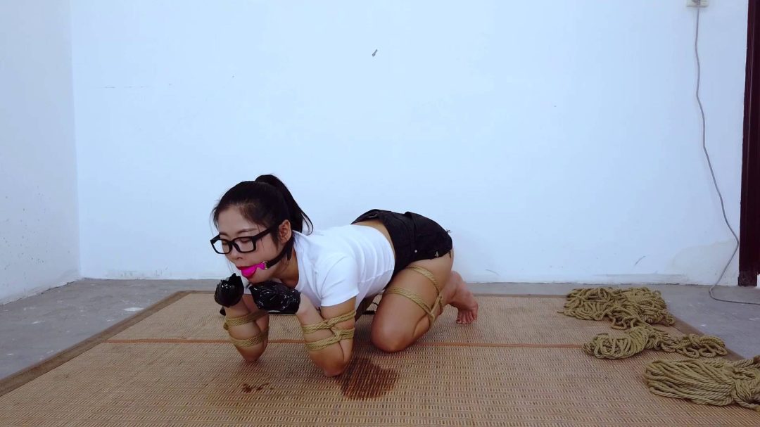 露露犬缚初体验-3