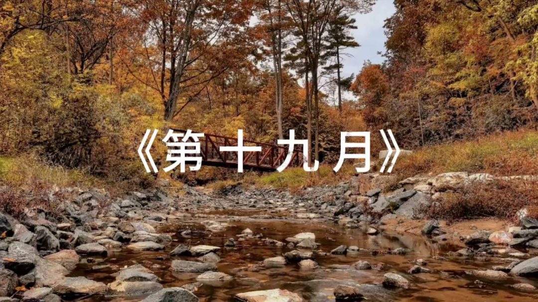 第十九月（上集）-1