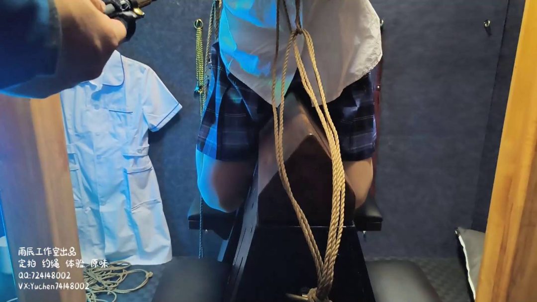 安娜木马受刑记-3