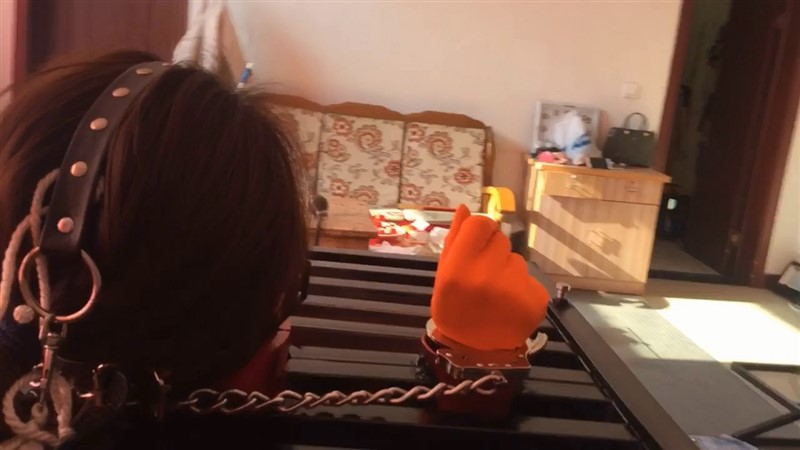 笼枷禁锢 强制口腔窥探 绳模王丽-2