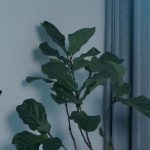 【Raymond】 丈夫的愿望4：婚纱股绳责（责绳级别的股绳虐）