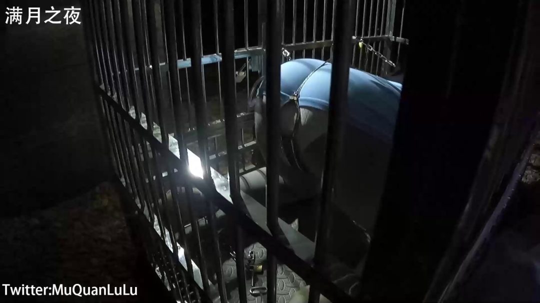 户外狗笼禁锢放置PLAY 锁链+湿身-2