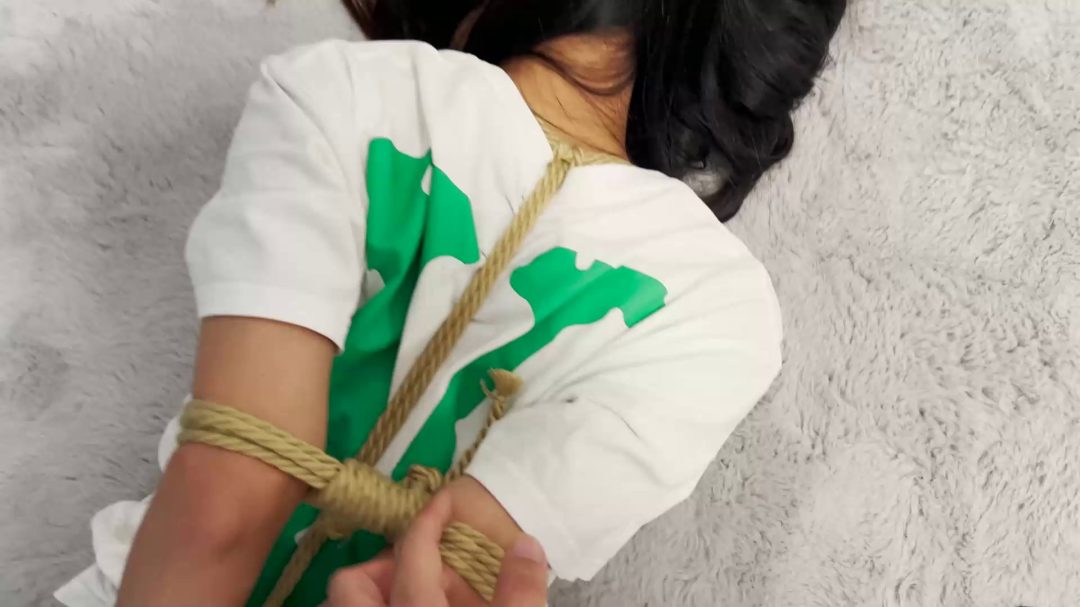 欧式直臂 驷马-2