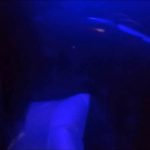 变装微电影《女上司系列》第2番《KTV之辱（上）》