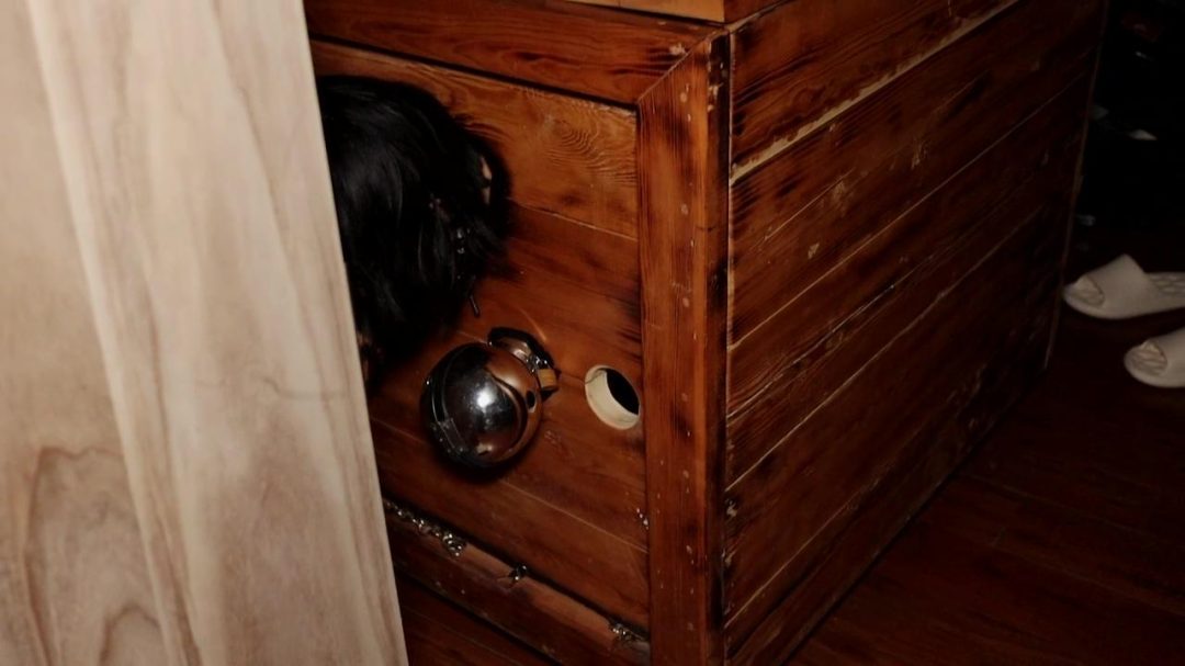 木枷禁锢和开口器-3