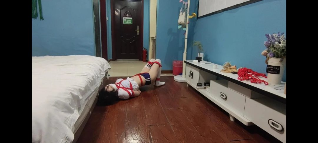 入室捆绑嗷嗷-6