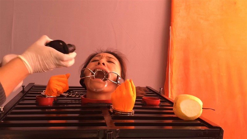 笼枷禁锢 强制口腔窥探 绳模王丽-8