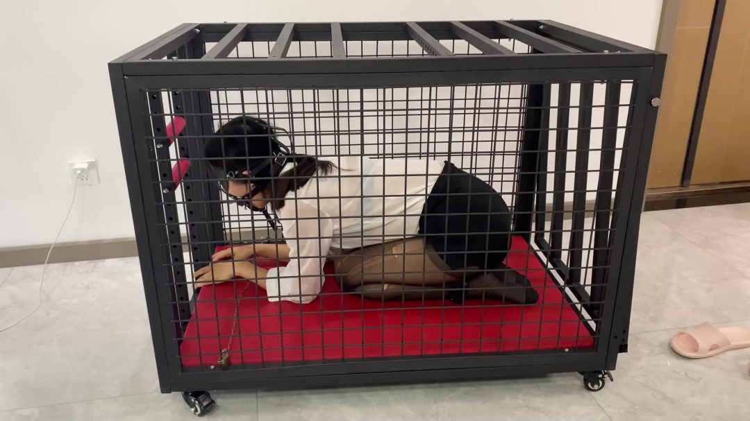 K9狗笼调教 开口器+流口水+镣铐+铁链固定+黑丝+丁字裤+SP-1