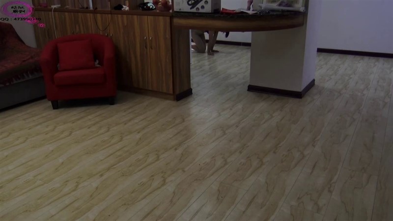 新招的美女犬奴（夜驯篇）-1